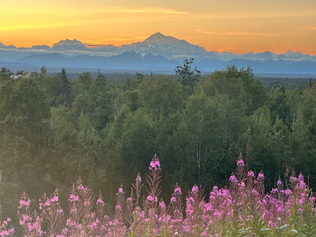 Talkeetna, Alaska-塔尔基特纳必去景点