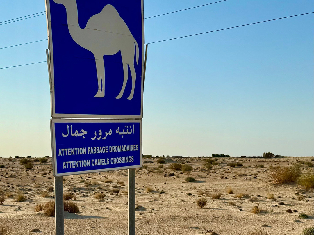 Jamel-突尼斯必去景点