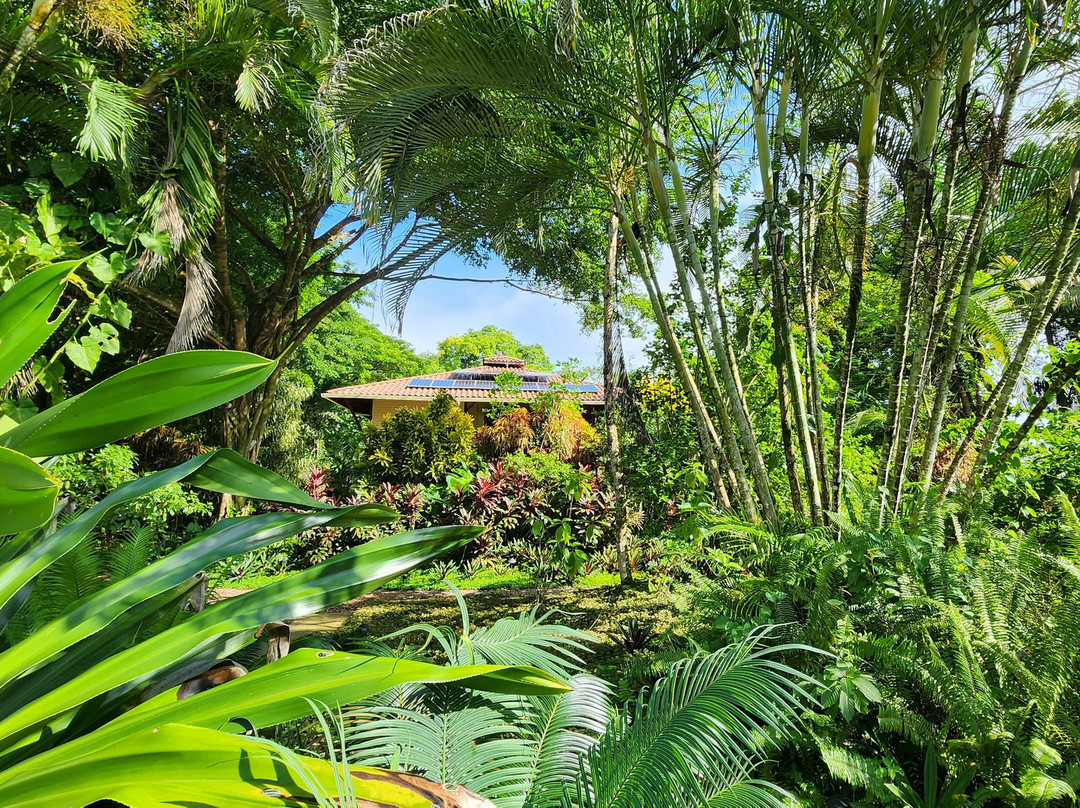 Bluff Beach Retreat主图