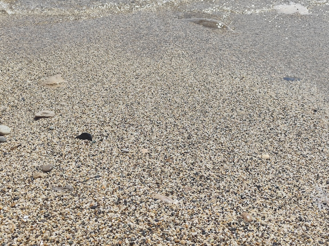 Spiaggia Lunga-Porto Ercole必去景点