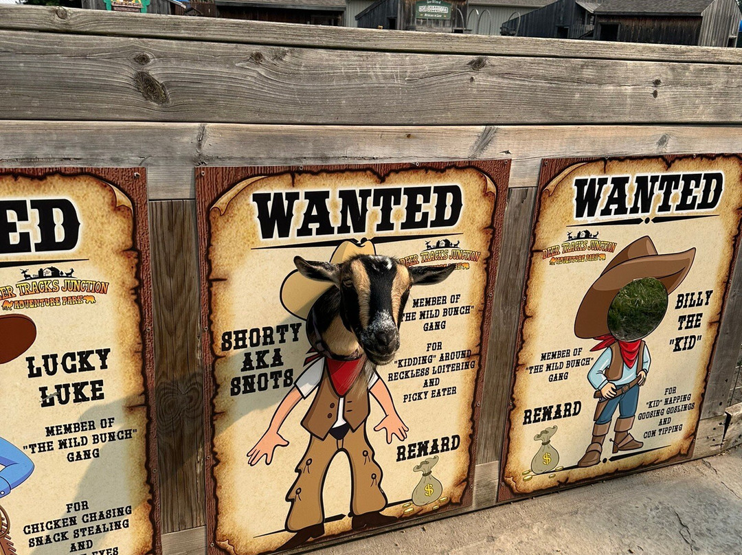 Deer Tracks Junction-Cedar Springs必去景点