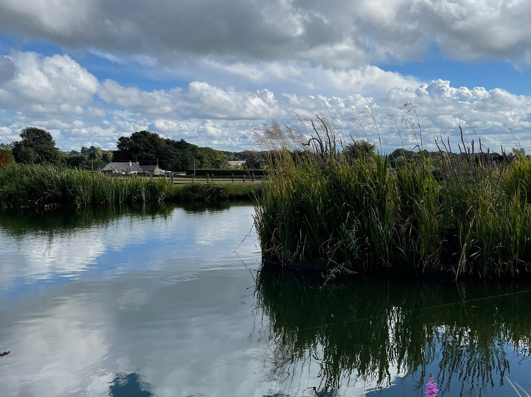 Foxholes Lake-Tansley必去景点