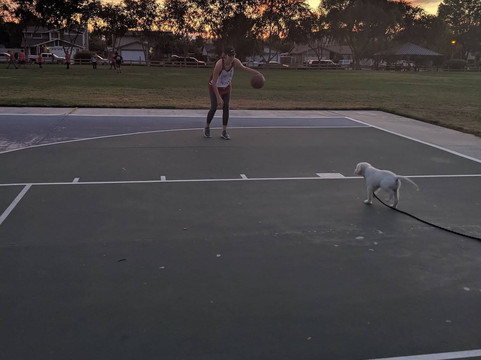 E. L. Pete Petersen Park-Menifee必去景点