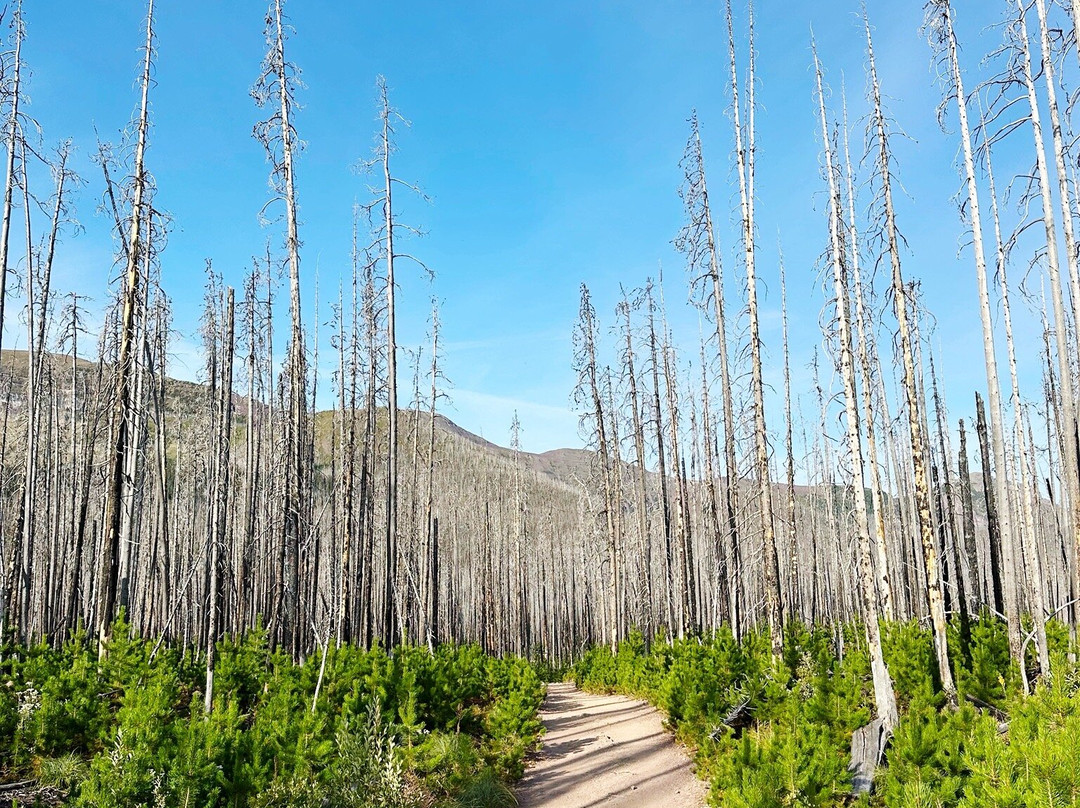Wall Lake Hike-沃特顿湖国家公园必去景点