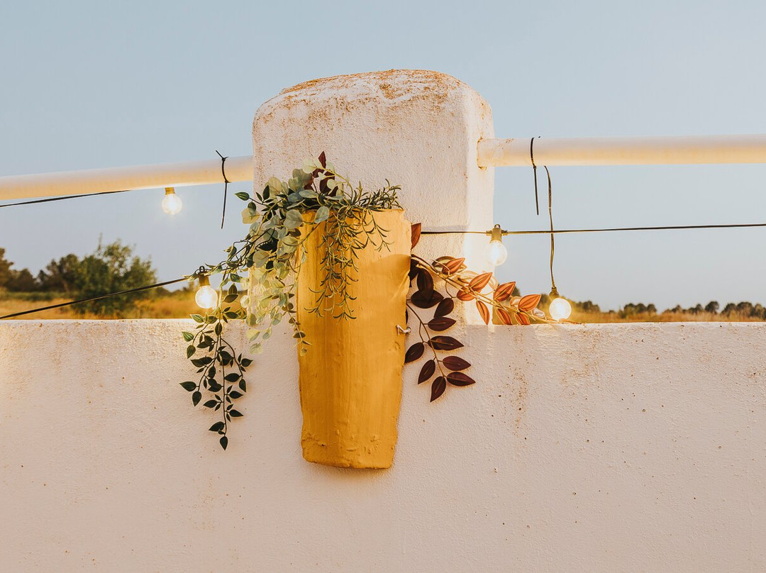 Casa Pedro Barrera主图