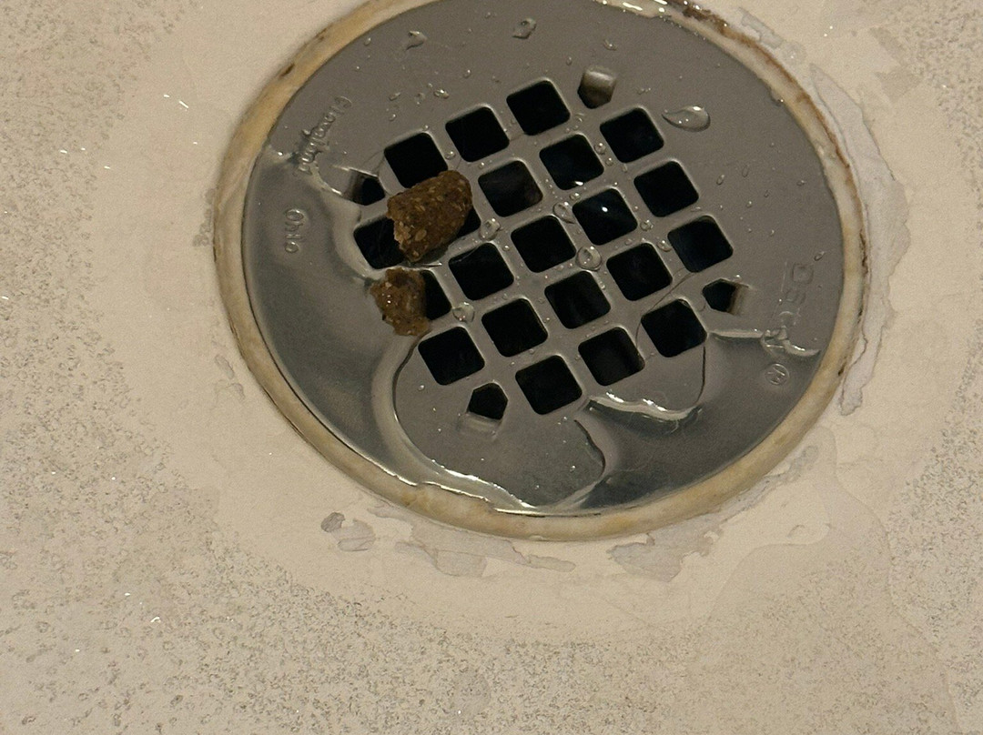 Best Western John Day Inn主图