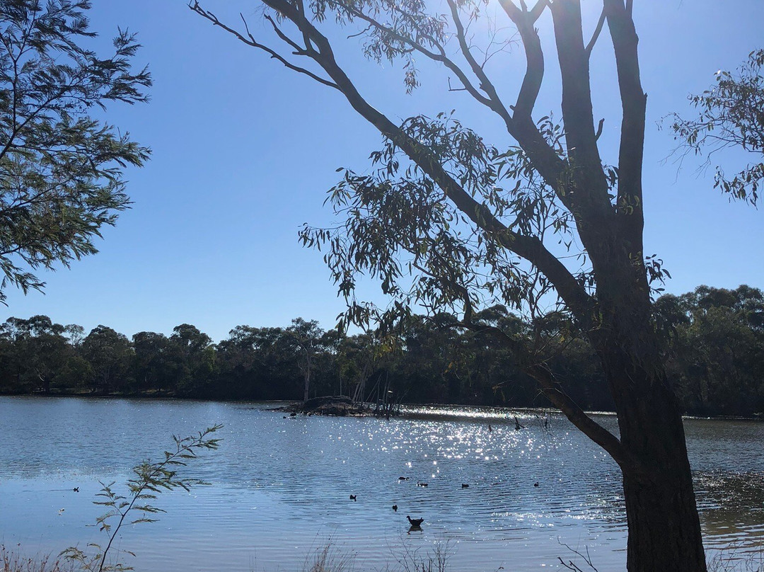 Jells Park-威勒斯山必去景点
