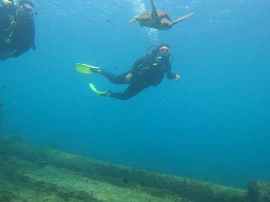 Noronha Total -  Agência de Turismo-费尔南多-迪诺罗尼亚群岛必去景点