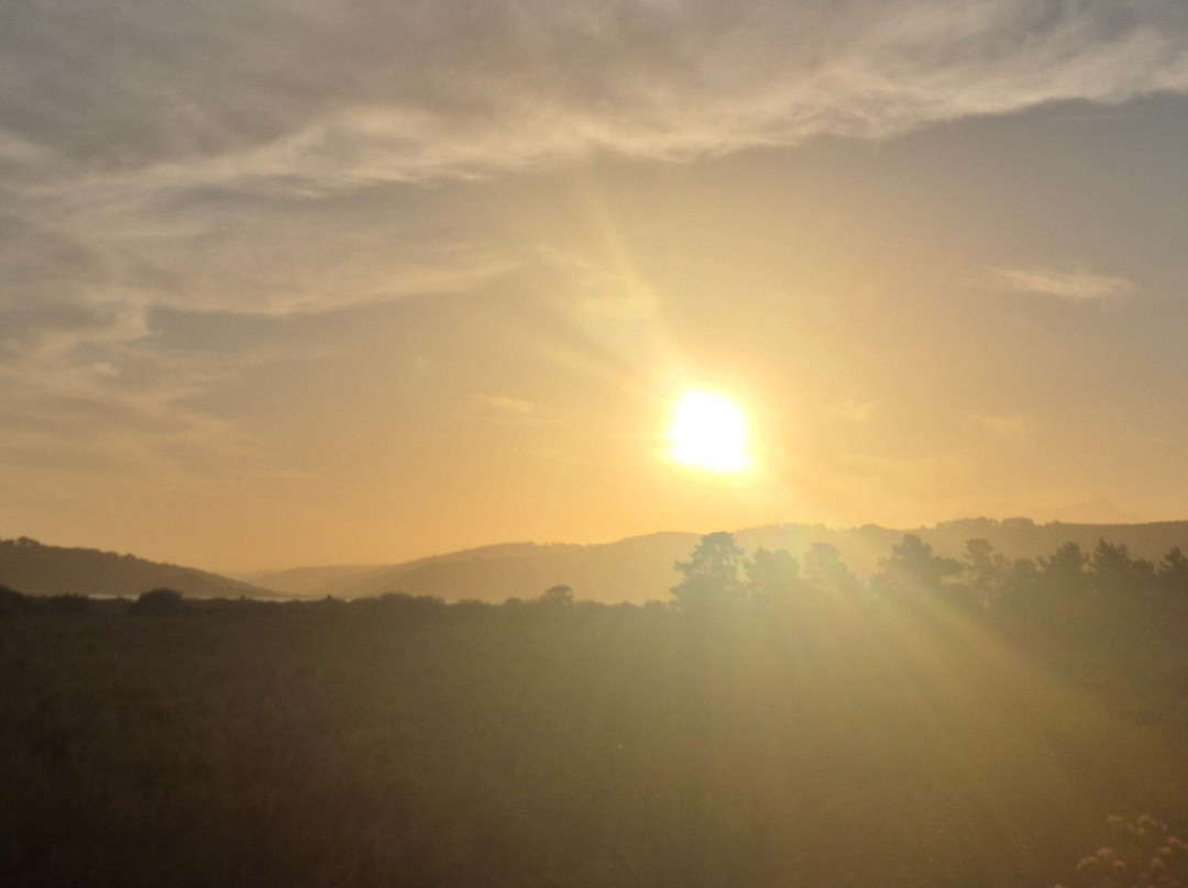 Reflections Eco Reserve主图