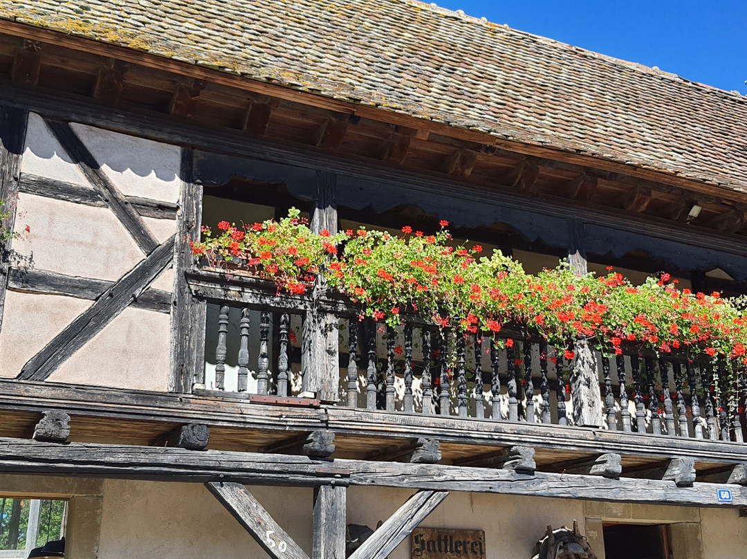 Ecomusée d'Alsace-温格斯汉必去景点