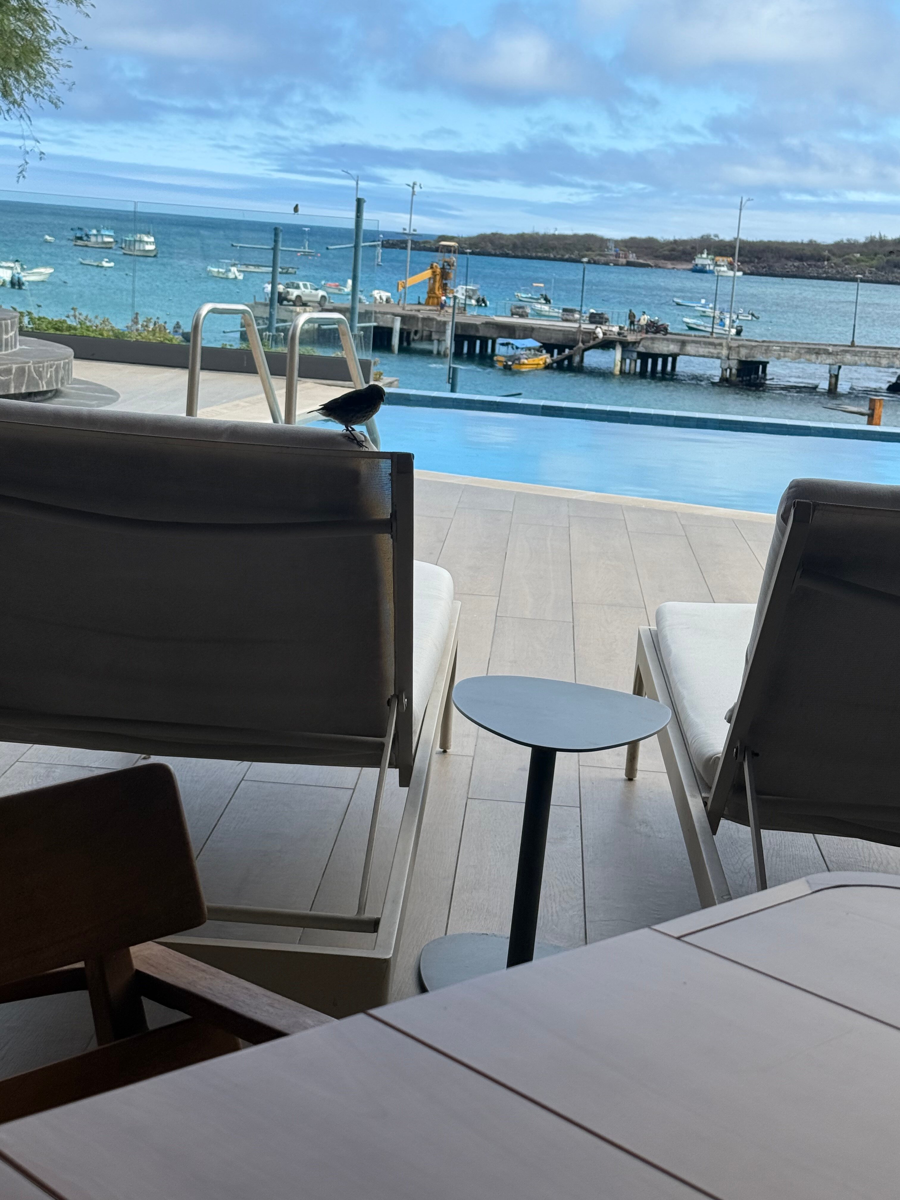 Hotel Indigo Galapagos, an IHG Hotel-官方