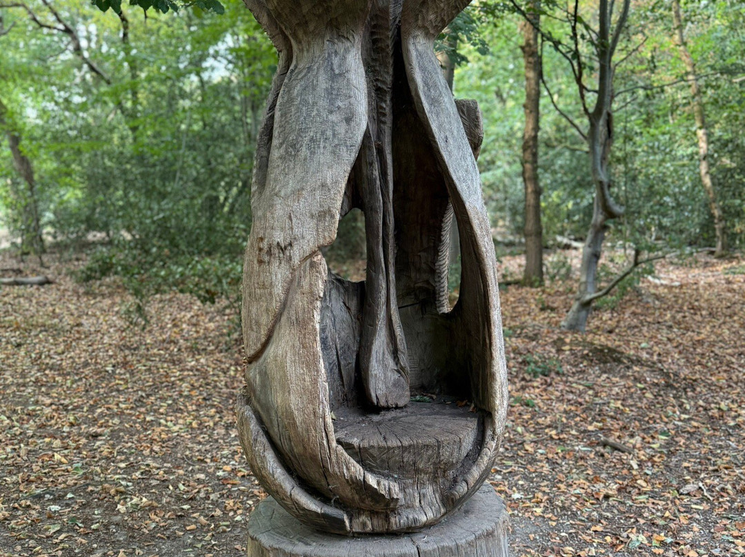 Burnham Beeches-Farnham Common必去景点