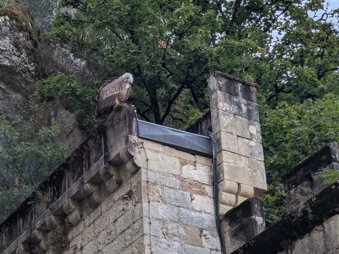 Rocamadour Aventures-Rignac必去景点