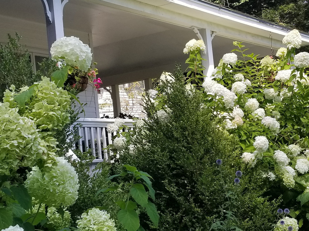 Timbercliffe Cottage Inn主图