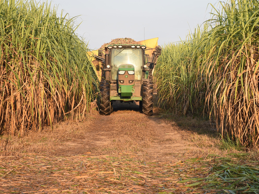 St. Joseph & Felicity Plantation-瓦切里必去景点