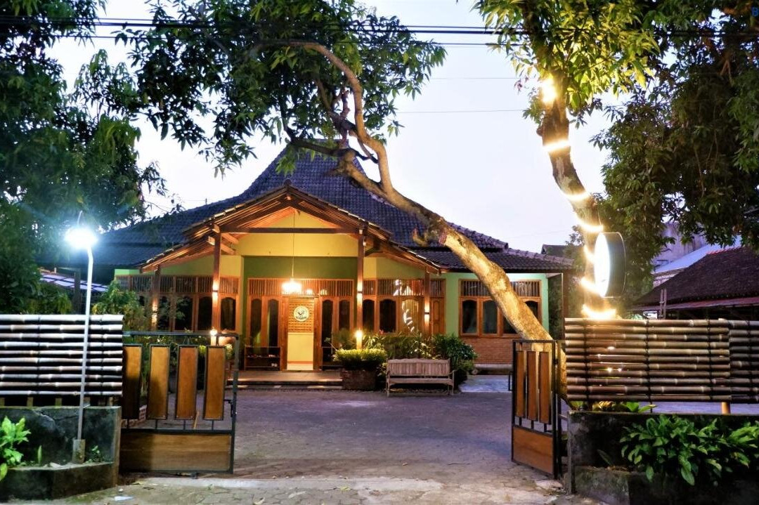 Sleepy Raccoon Hostel