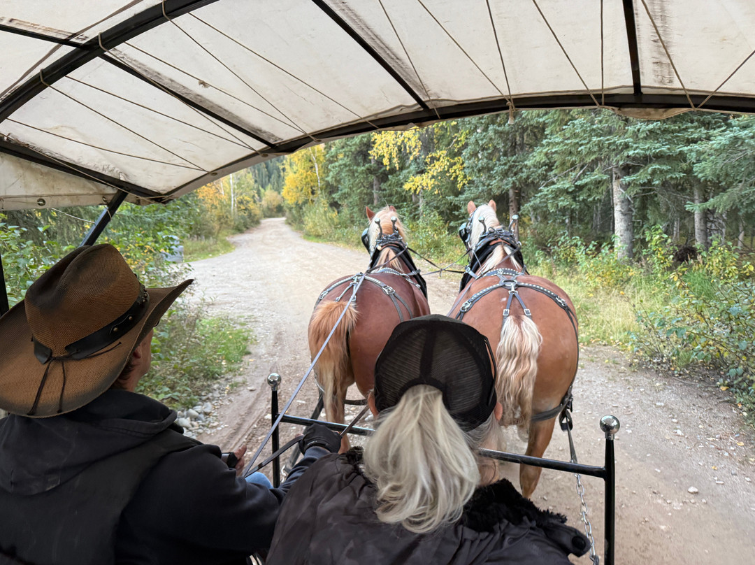 Denali Black Diamond Covered Wagon