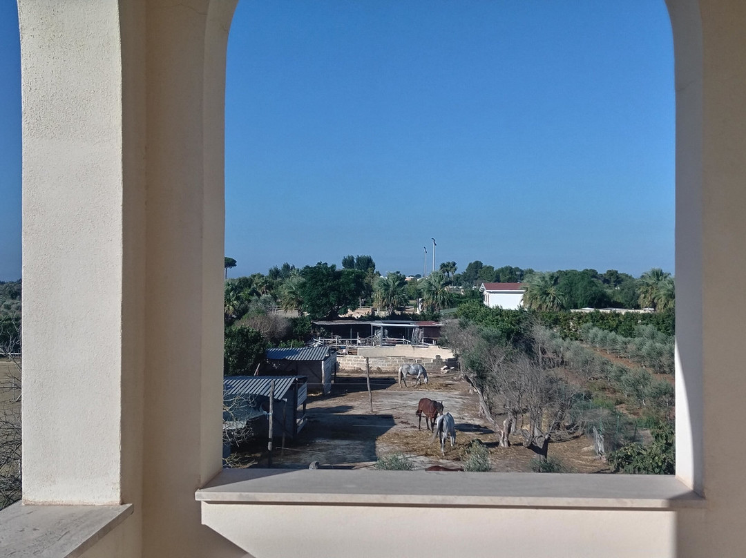 Tenuta la Baronessa主图