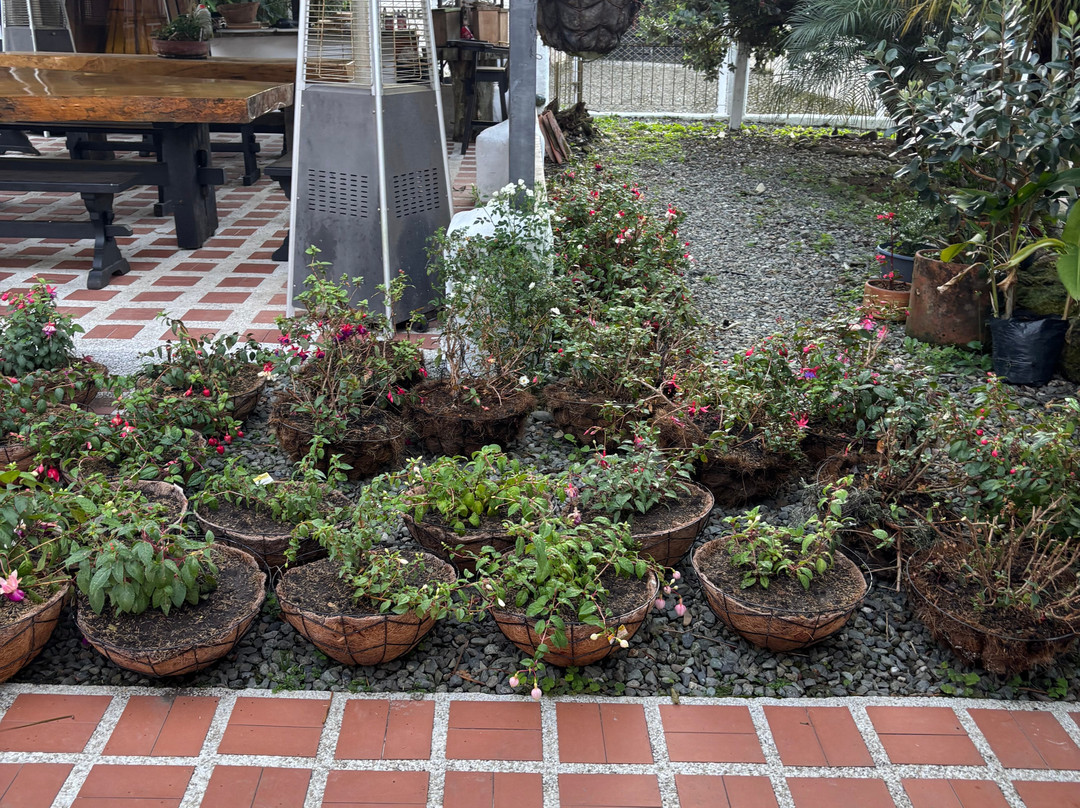 Finca Campestre La Adelita B&B主图