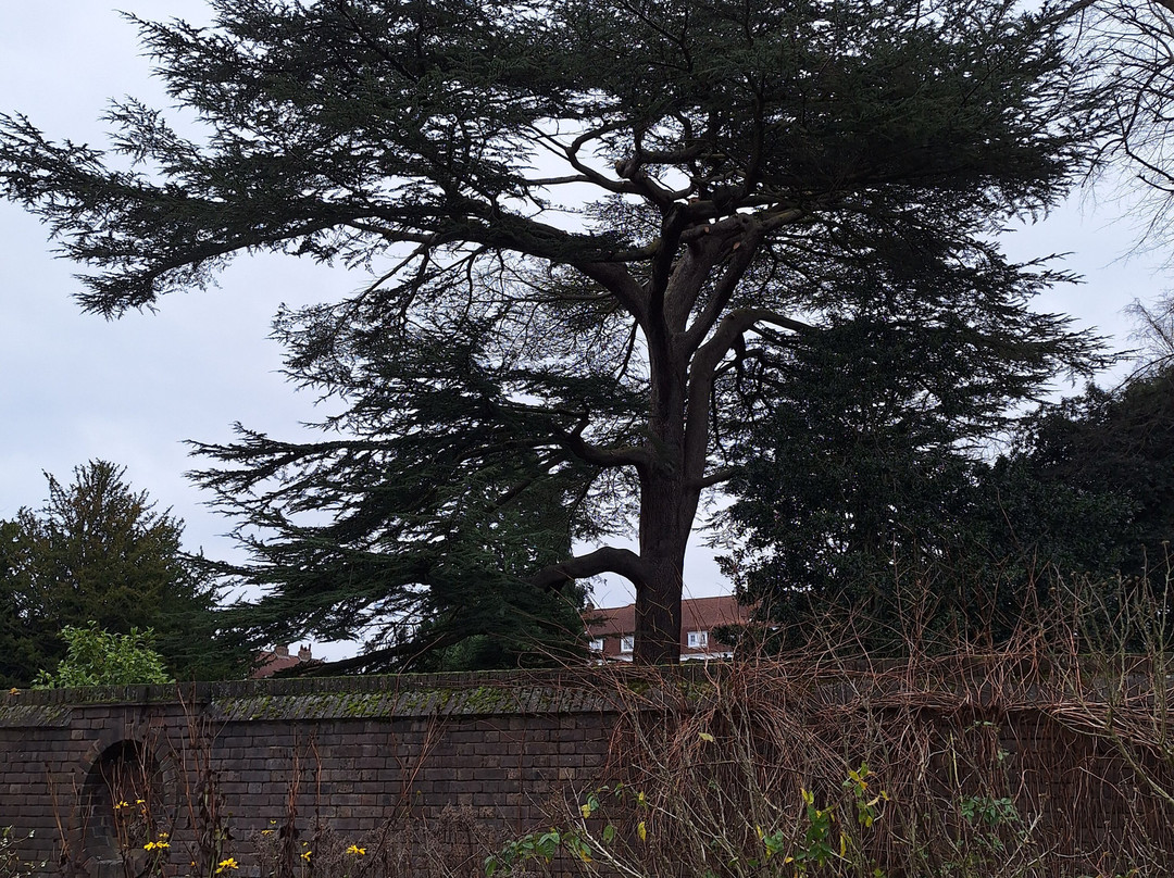 York House Gardens-特威克纳姆必去景点