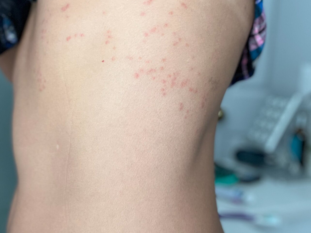 Vila Galé Cayo Paredón主图