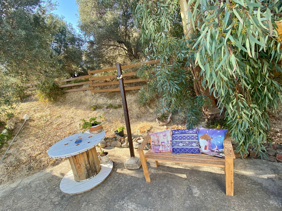 Apollon酒店住宿-Villa Kara - B&B