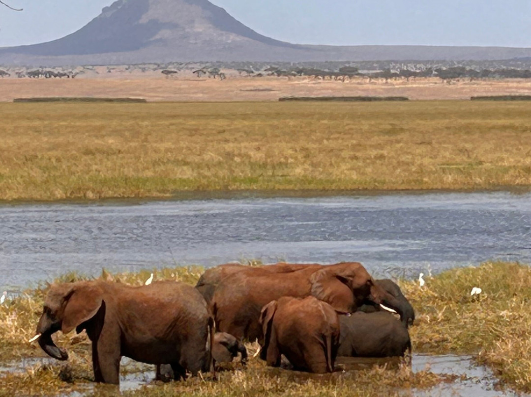 Tarangire Classic View Camp-Ikoma必去景点