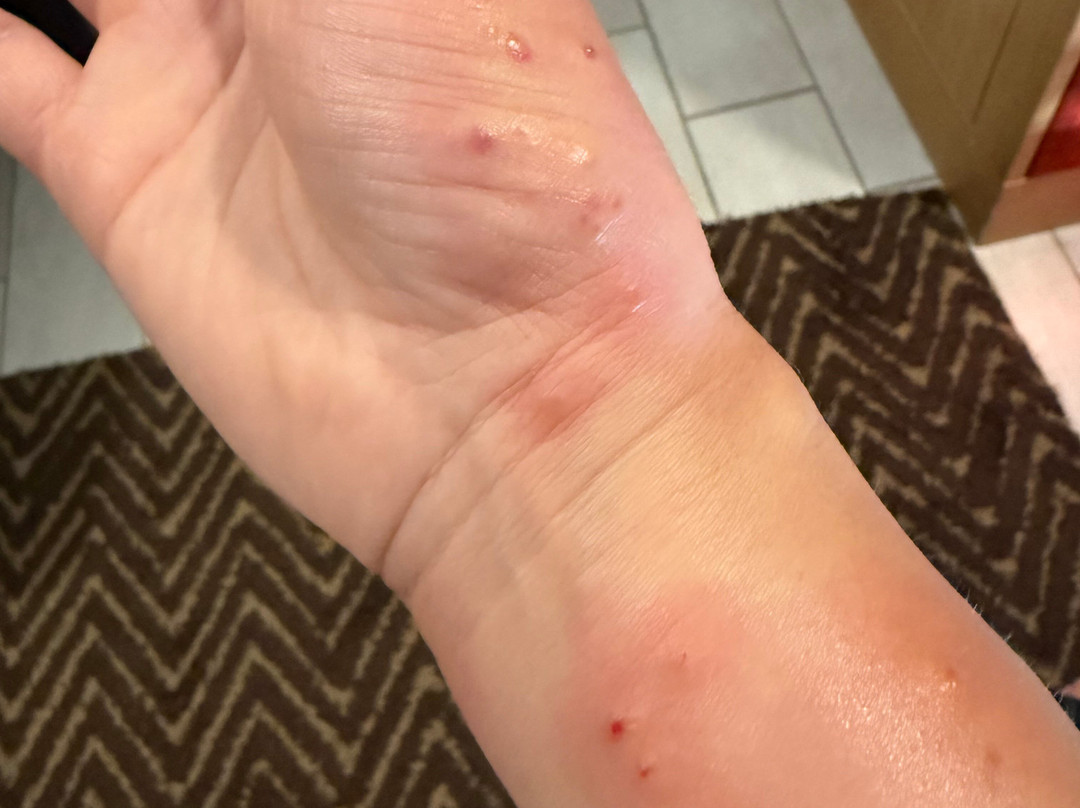 Il Faro Di Molara主图