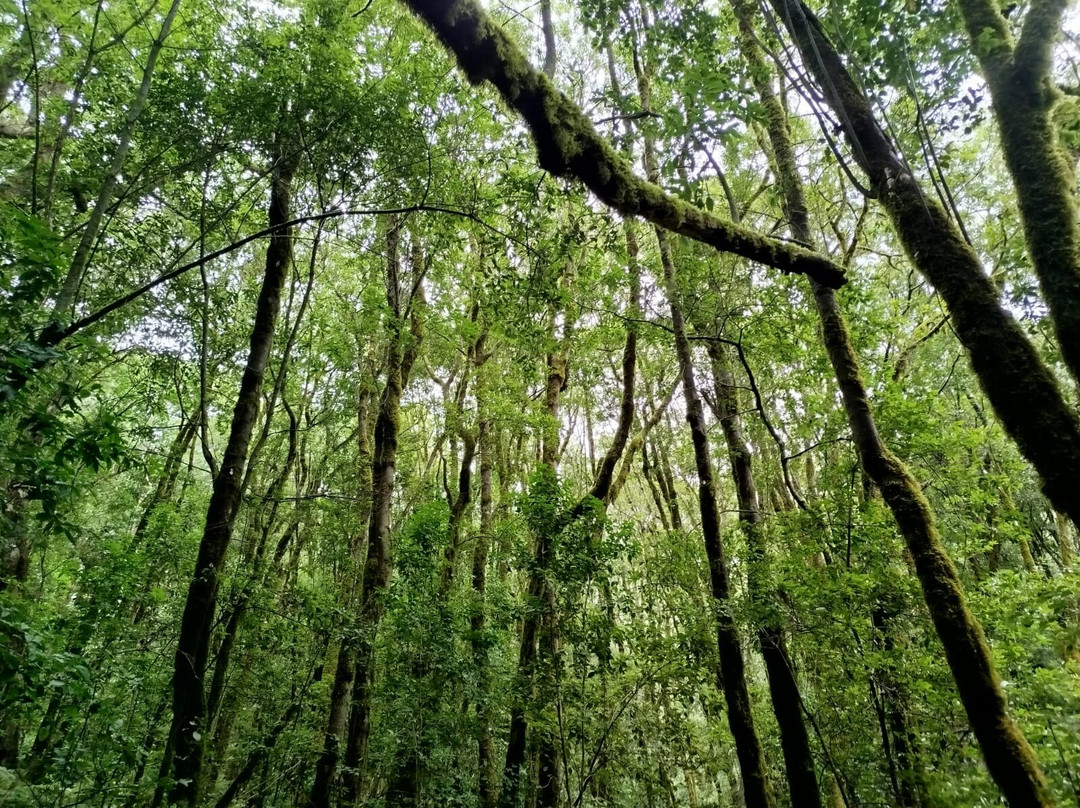 Ipalan Hiking Guided Tour-阿拉赫罗必去景点