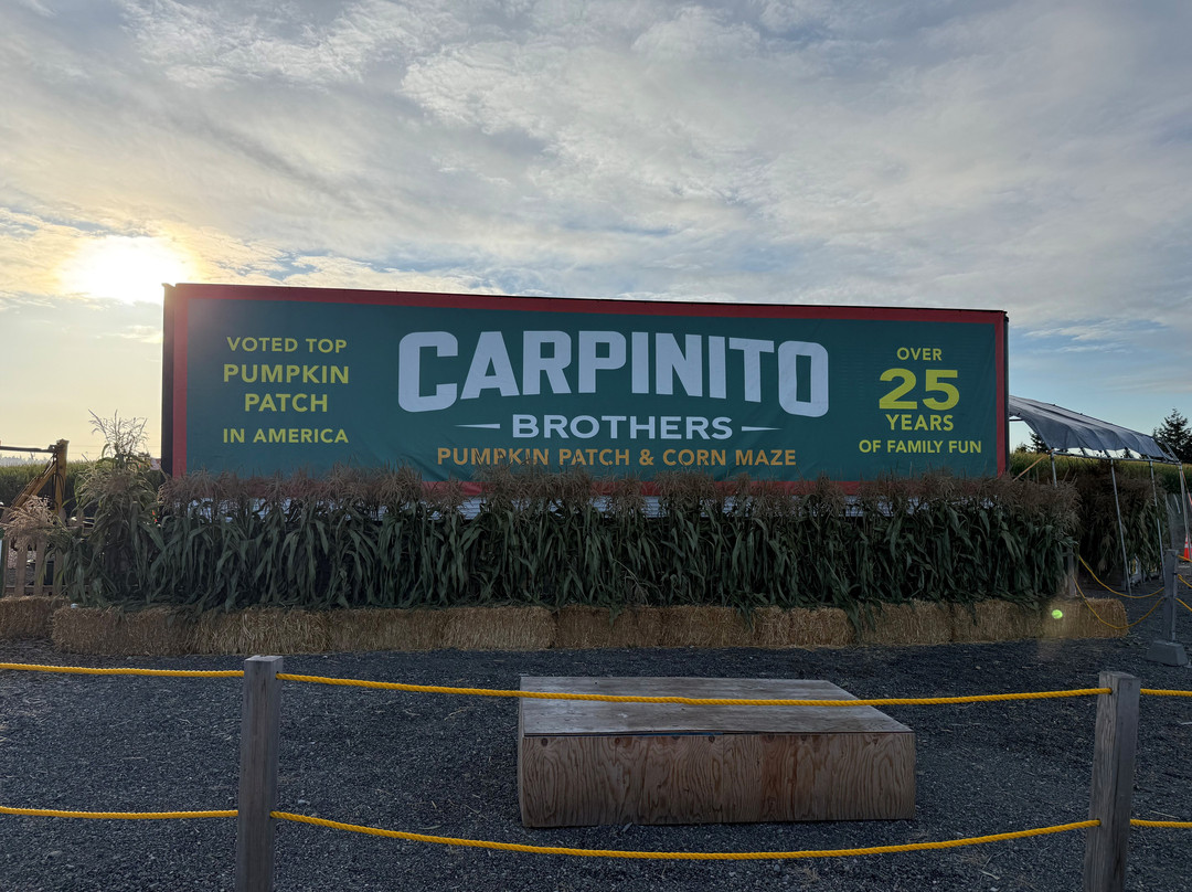 Carpinitos Pumpkin Patch-肯特必去景点