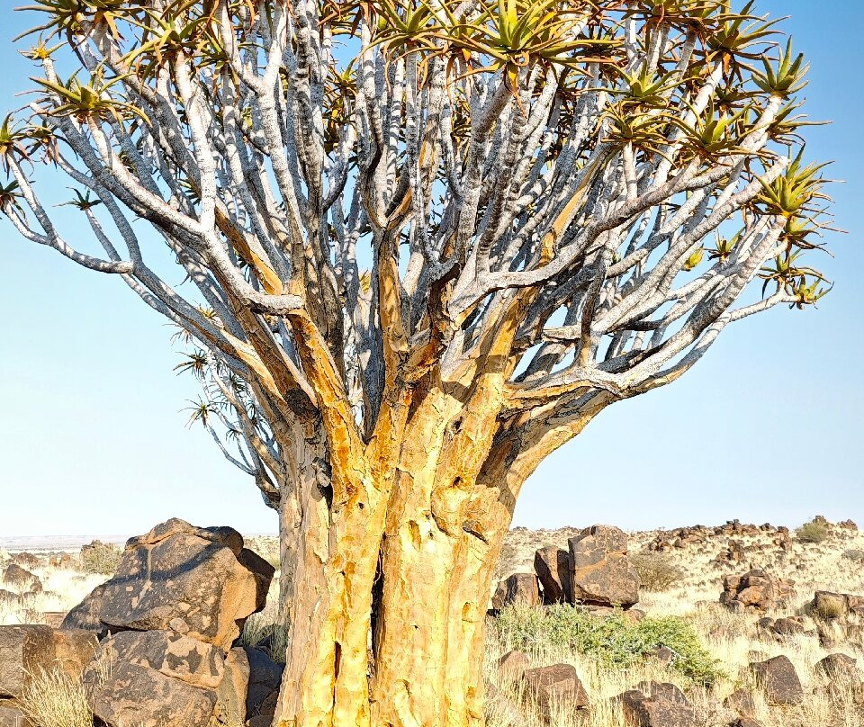 Garas Park Camp-Keetmanshoop必去景点