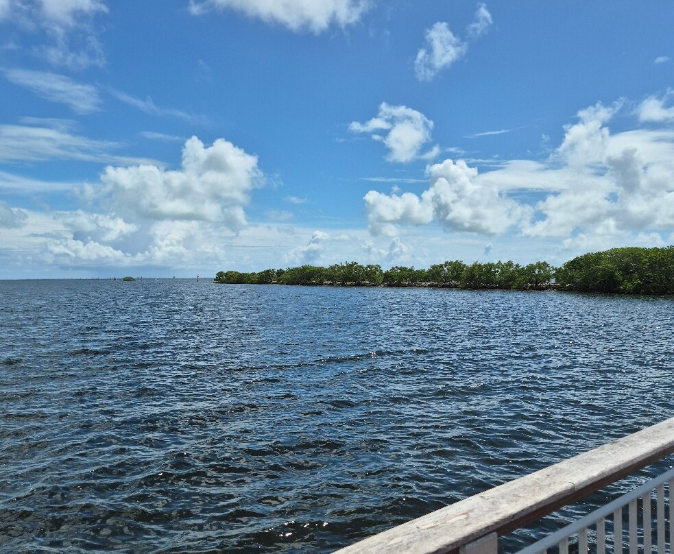 Dante Fascell Visitor Center-霍姆斯特德必去景点