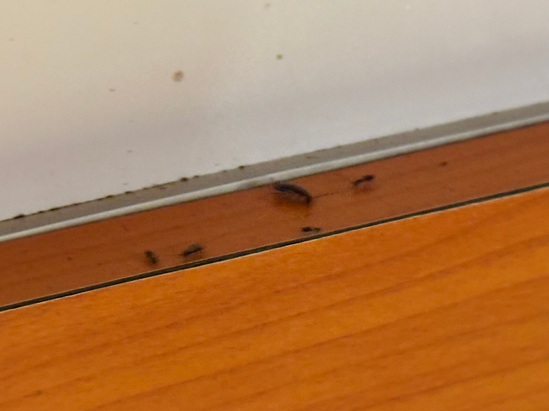 Rinjani Kingdom-Bayan必去景点