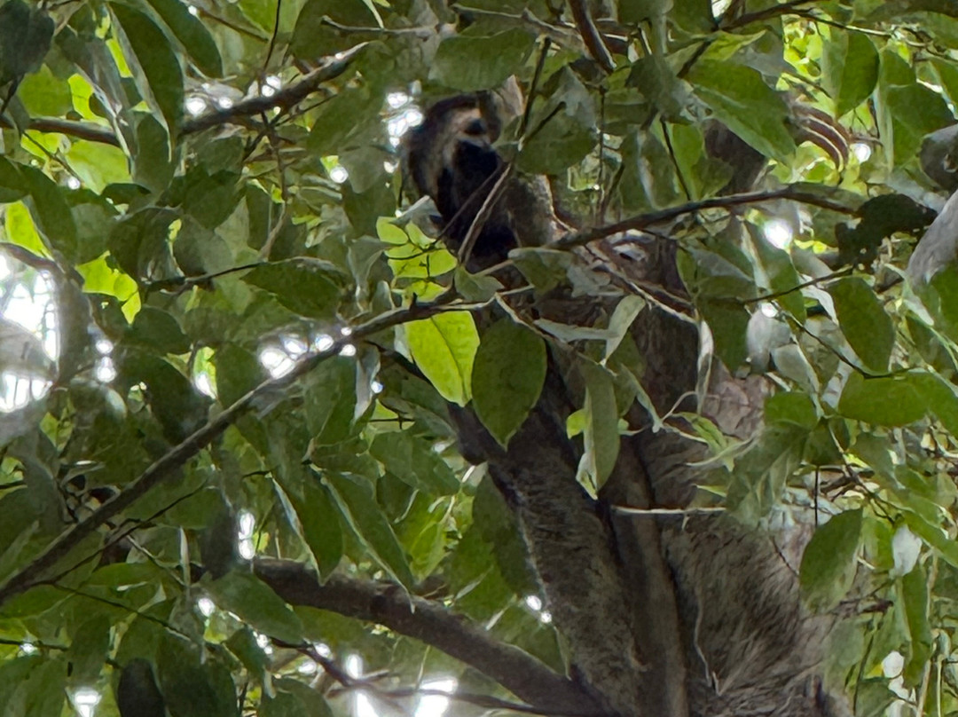 Abel Bustamante - Tour Guide-Manzanillo必去景点
