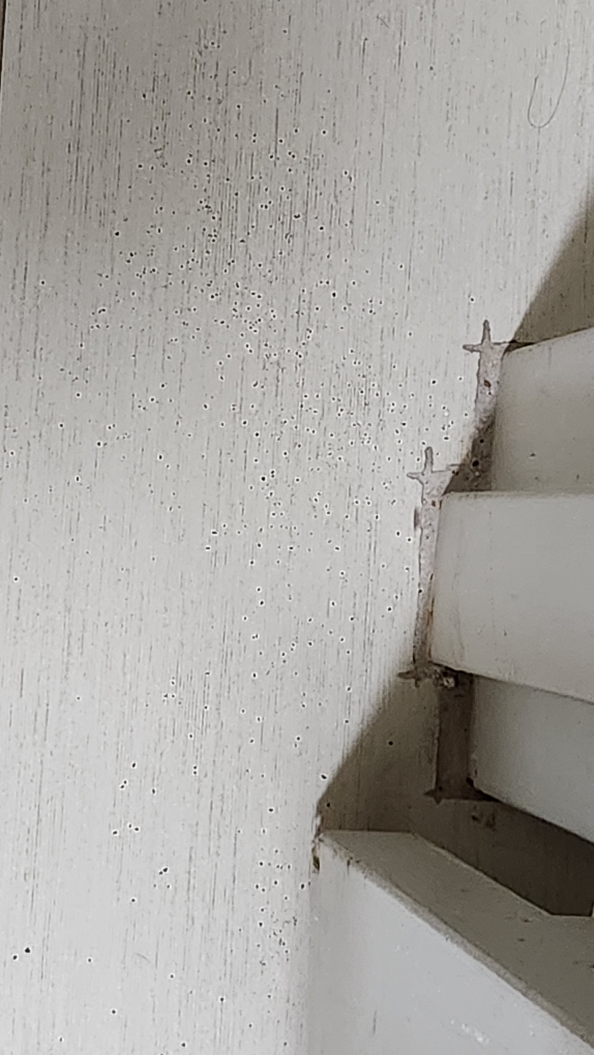 Best Western Plus Clemson Hotel & Conference Center-客卧