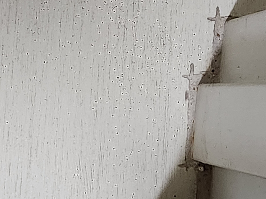 Best Western Plus Clemson Hotel & Conference Center主图