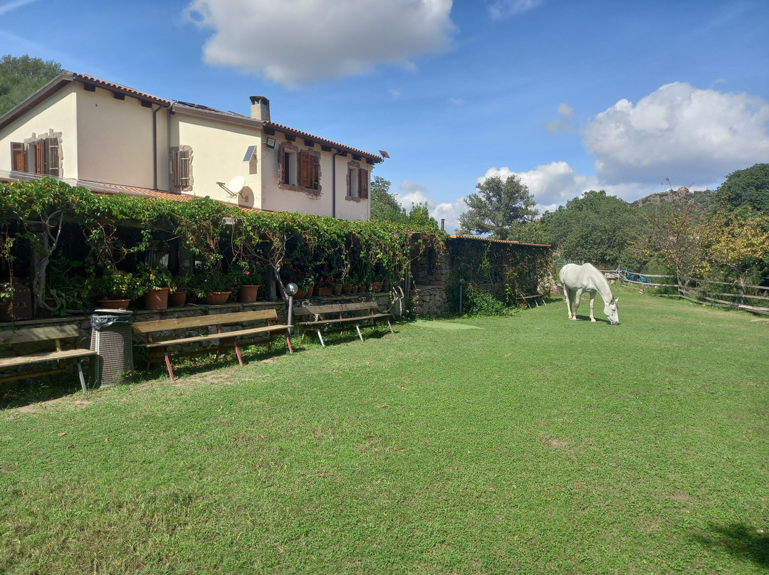 Sas Abbilas Agriturismo主图