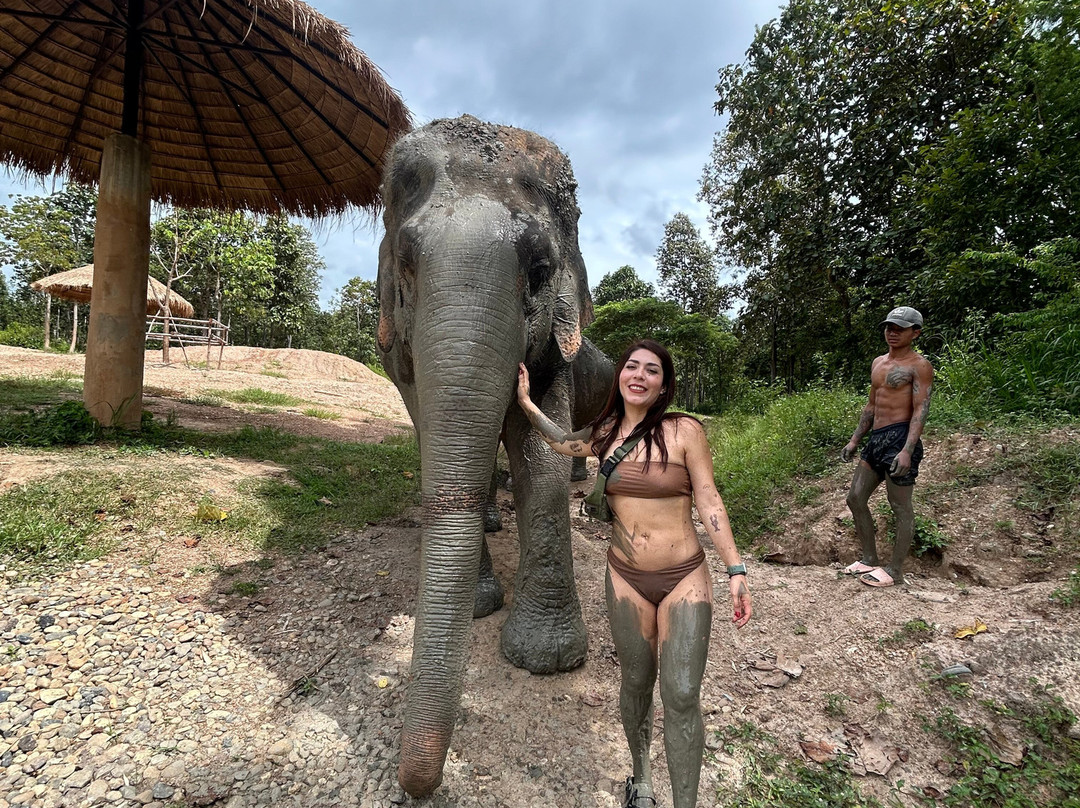 Maerim Elephant Sanctuary-夜林必去景点