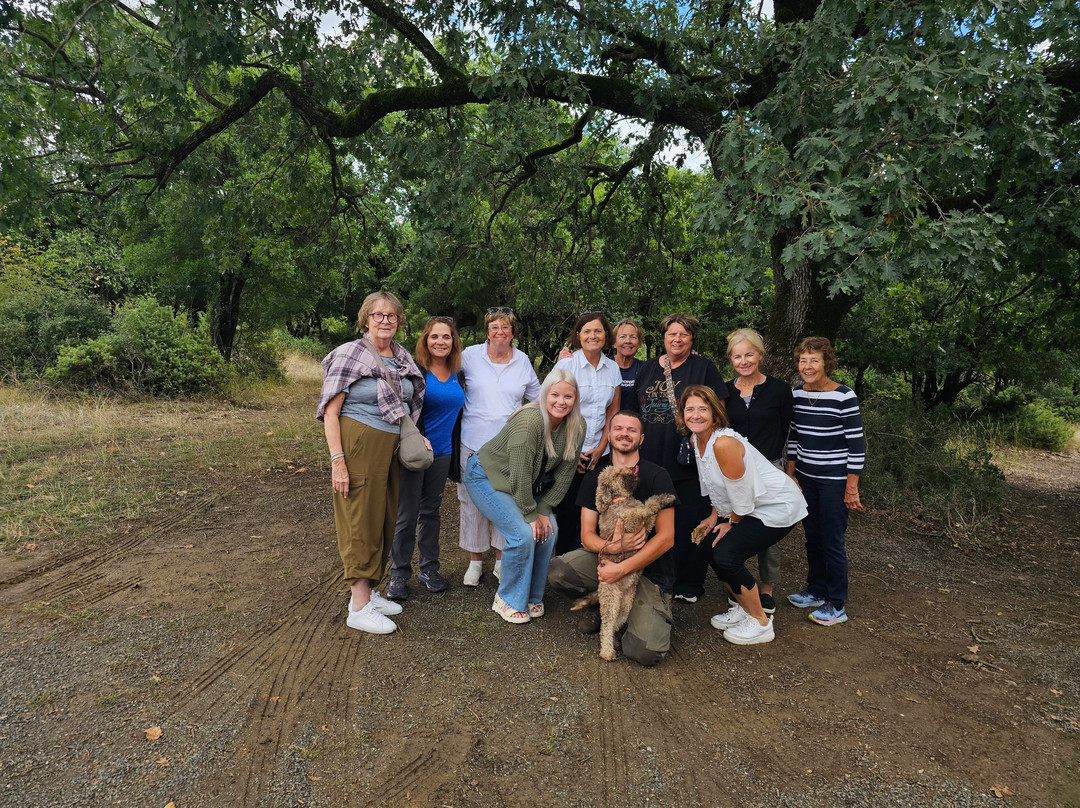 Private Tours Greece-雅典必去景点