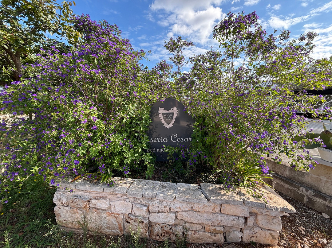 Masseria Cesarina B&B主图
