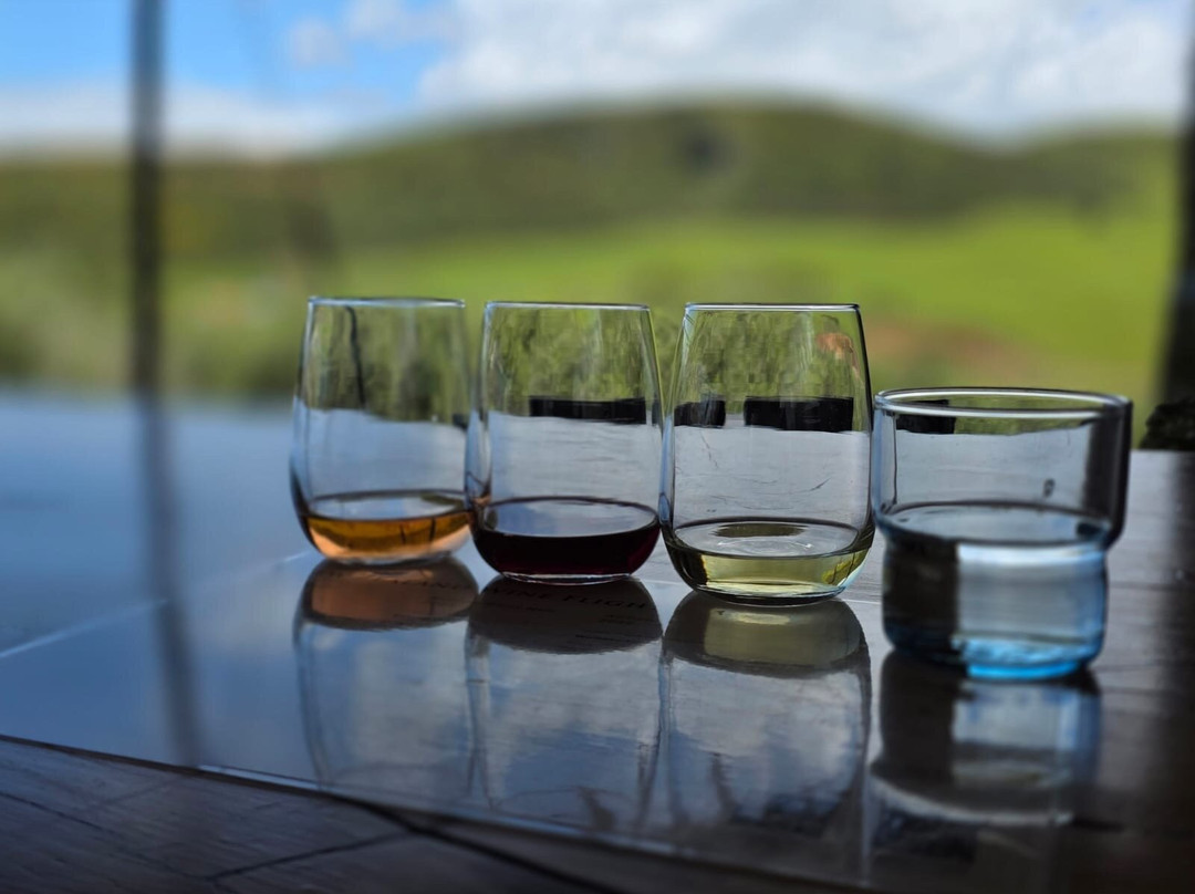 Stonyridge Vineyard-旺唐伊必去景点
