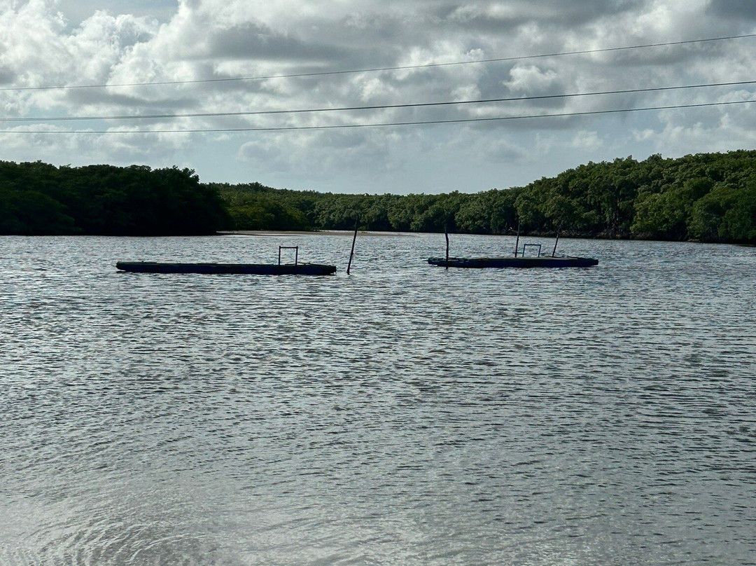 Barra do Rio Beach-Genipabu必去景点