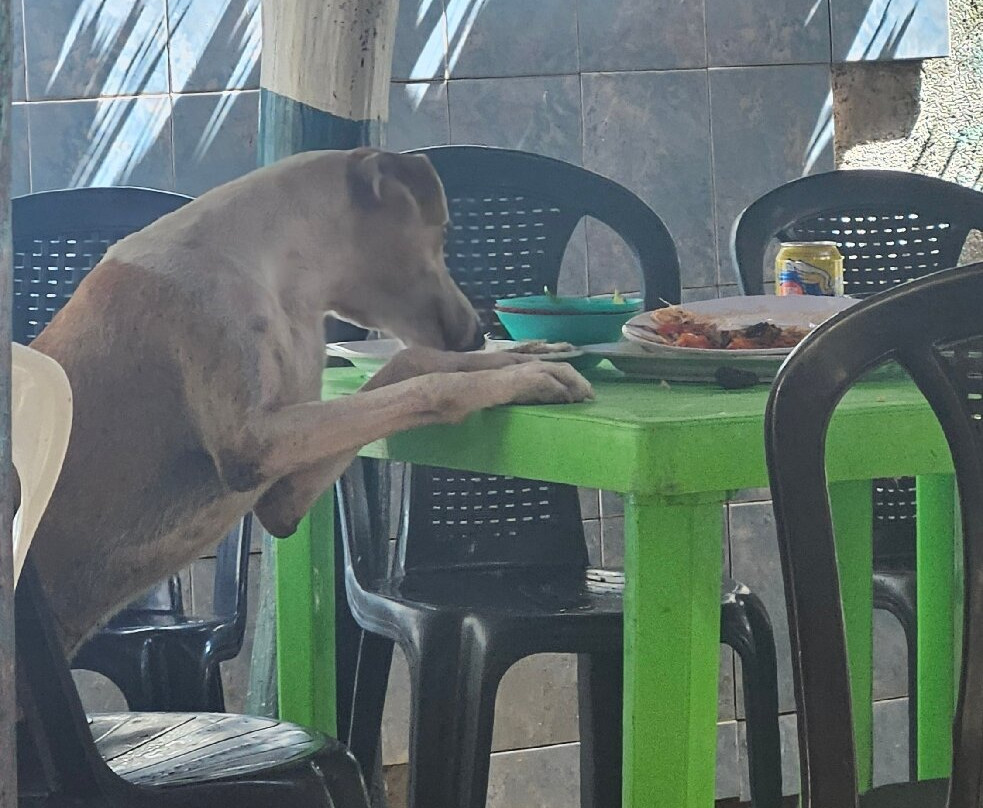 Playa Grande-位于塔甘加必去景点