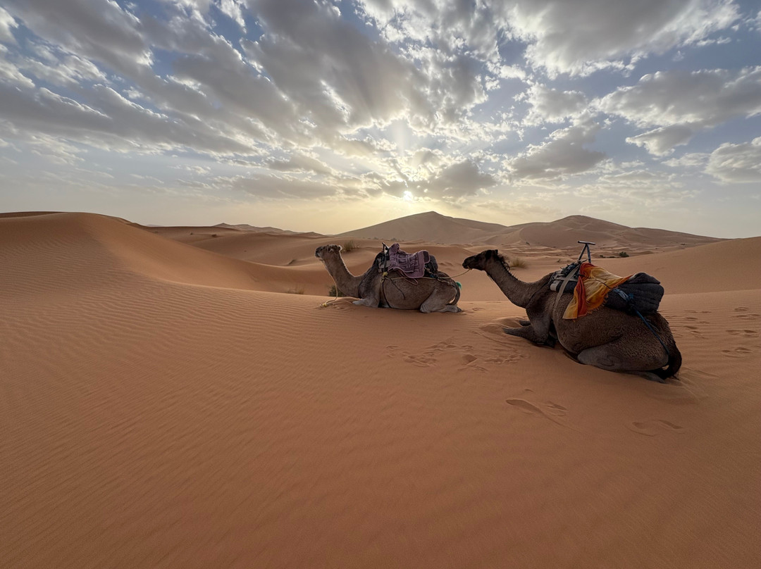 Private Desert Tours-迈哈米德必去景点