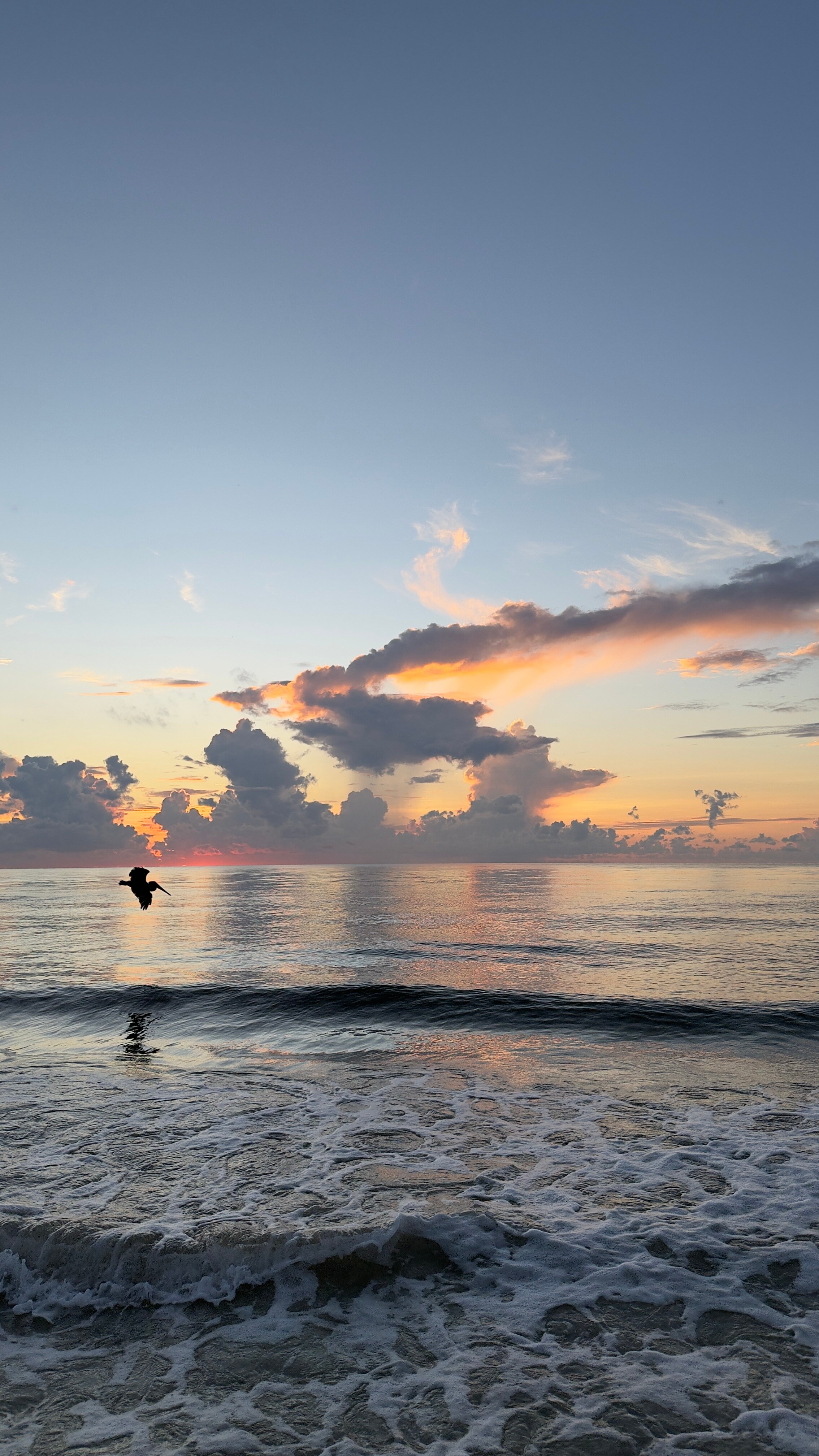 图卢姆海滩度假村-泳池