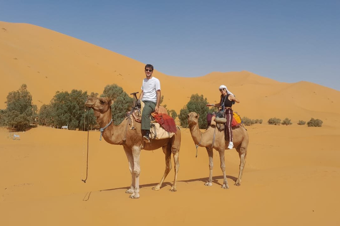 Marrakech Camel Trips-非斯必去景点