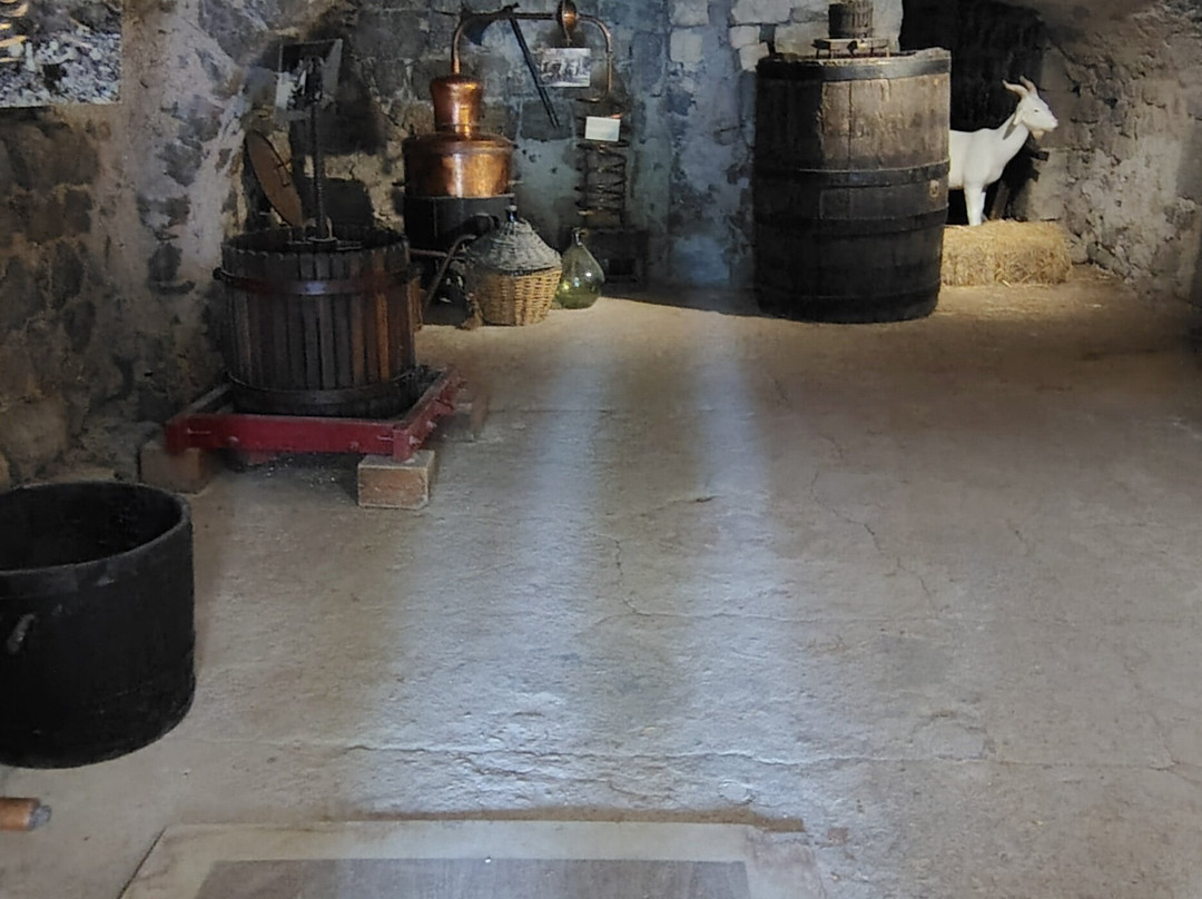 Museum Alphonse Daudet-Saint-Alban-Auriolles必去景点