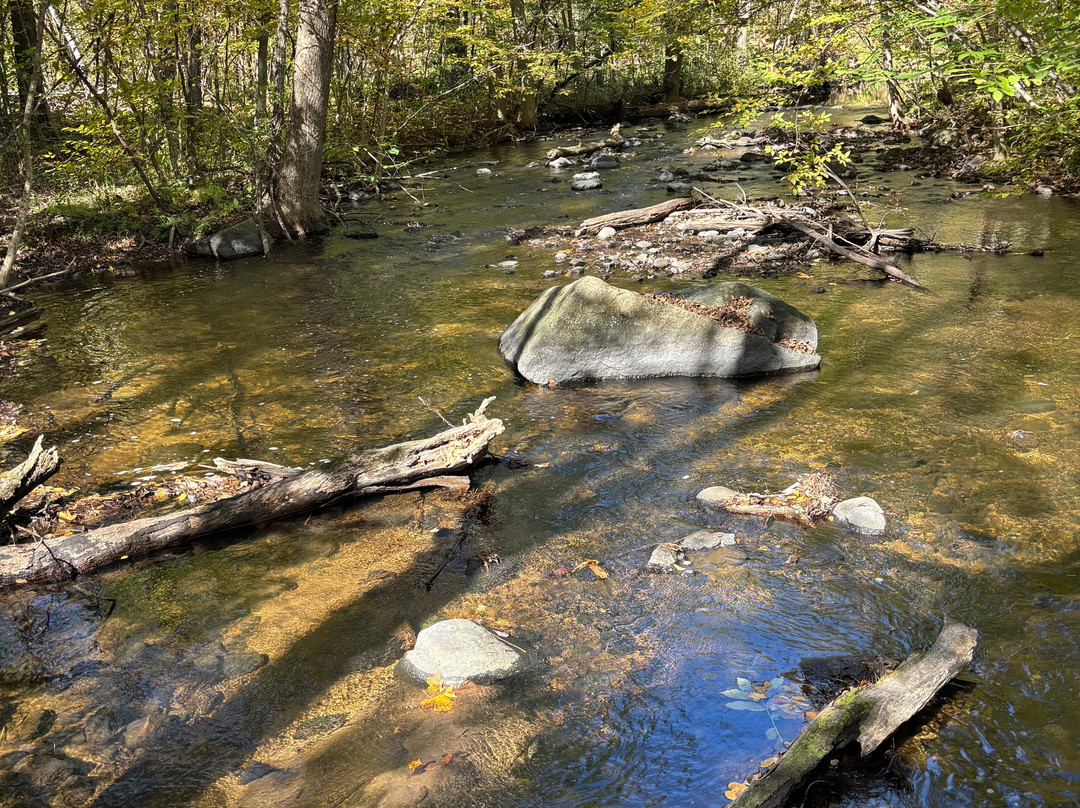 Avon Hills Folk School-Avon必去景点