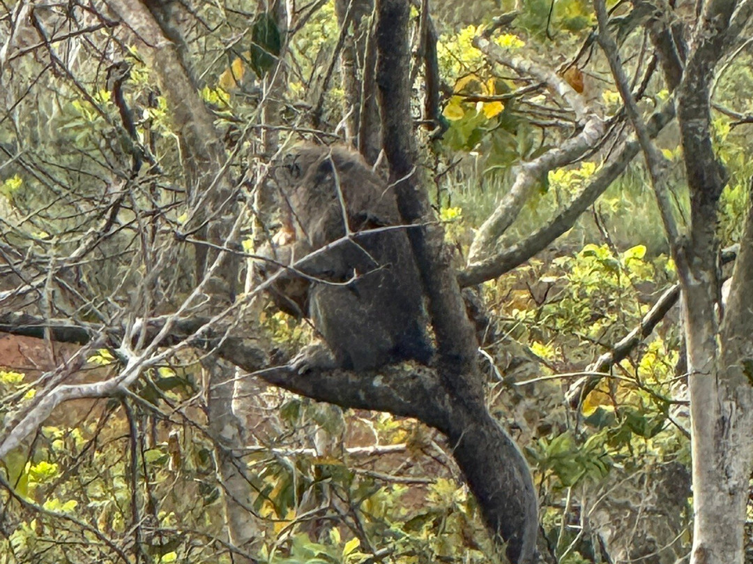 Rochester Falls-Souillac必去景点