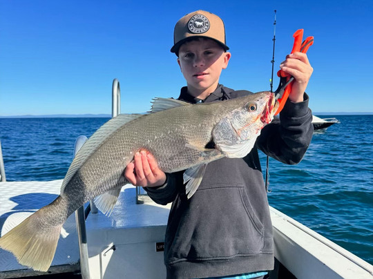 Fish Moreton-Sandstone Point必去景点